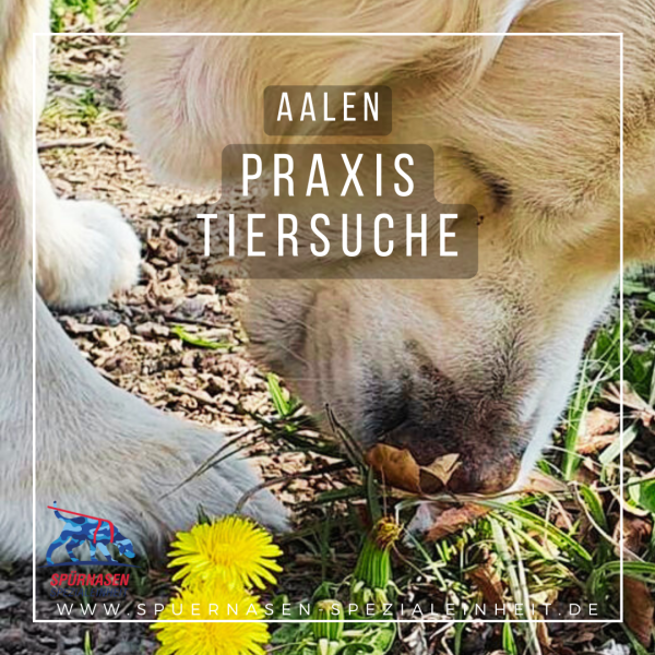 2026-02-22 | Tiersuche Praxisseminar